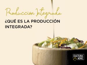 ¿Qué es la producción integrada?